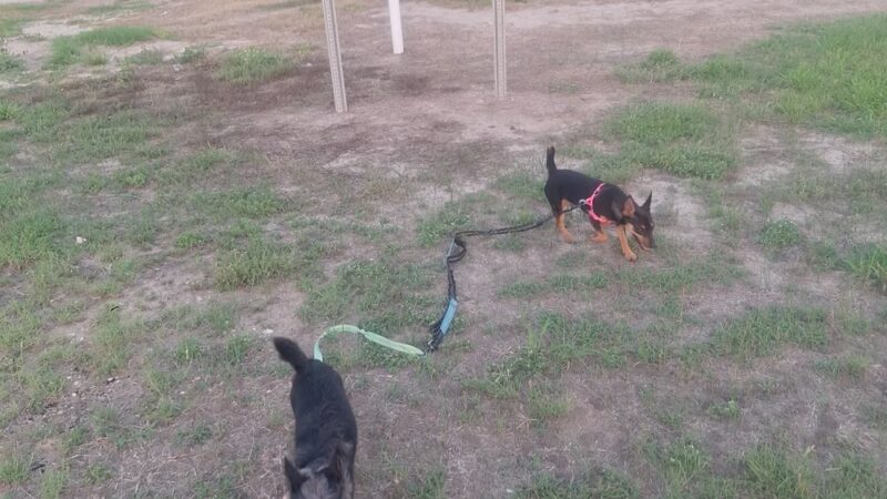 Ben Bolt Park - Alice, TX