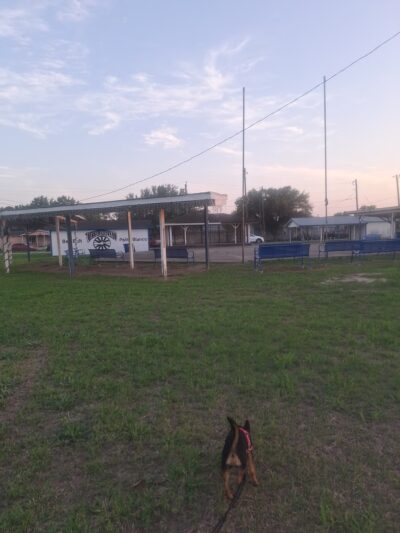 Ben Bolt Park - Alice, TX