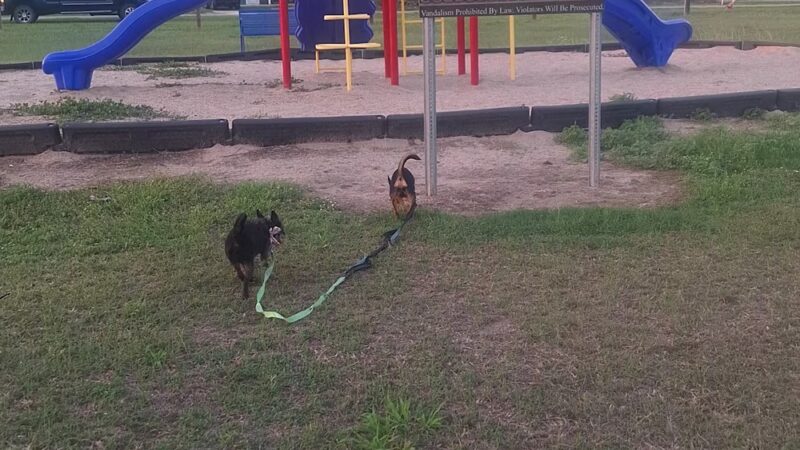 Ben Bolt Park - Alice, TX