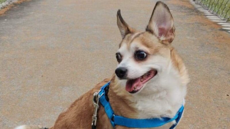 Veterans Plaza Park - Alice, TX