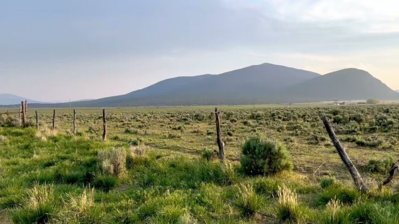 City of Rocks Camp and Climb - Almo, ID