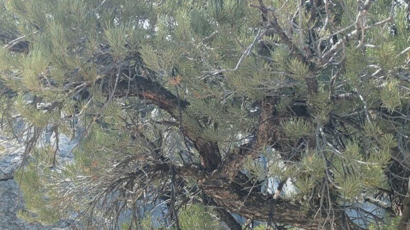 City of Rocks National Reserve - Almo, ID