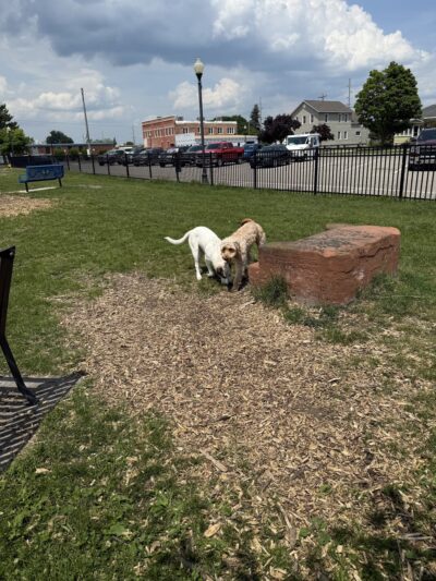Thomas Stafford Dog Park - Alpena, MI
