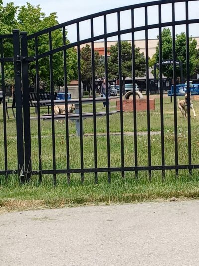 Thomas Stafford Dog Park - Alpena, MI