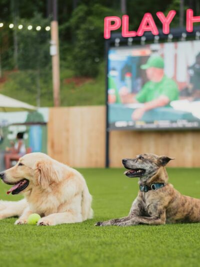 Fetch Park Alpharetta - Alpharetta, GA