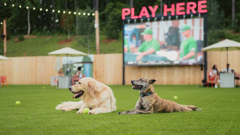 Fetch Park Alpharetta - Alpharetta, GA