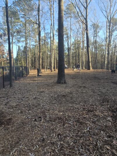 Webb Bridge Dog Park - Alpharetta, GA