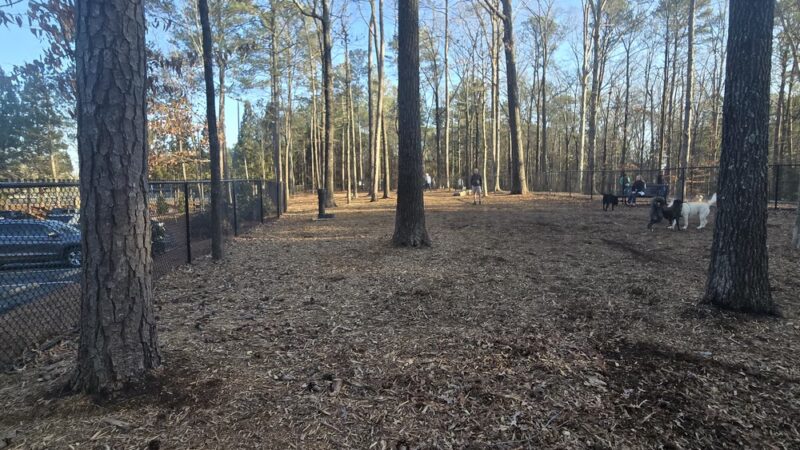 Webb Bridge Dog Park - Alpharetta, GA