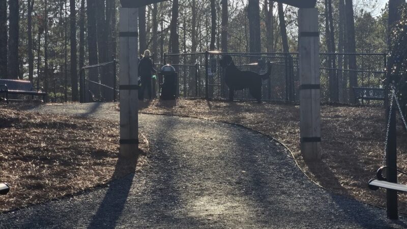Webb Bridge Dog Park - Alpharetta, GA