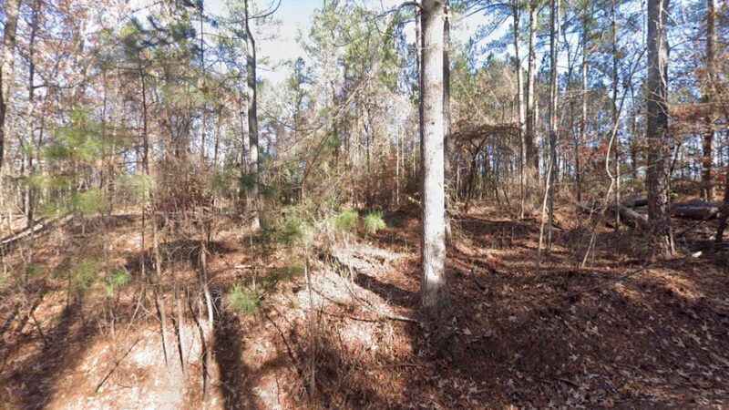 Webb Bridge Dog Park - Alpharetta, GA