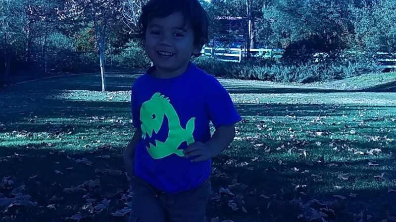 Boulder Neighborhood Park - Alpine, CA