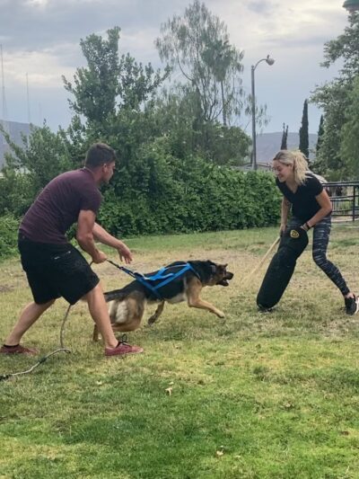 EZ PUPS - Alpine, CA