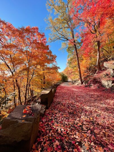 Palisades Interstate Park - Alpine, NJ