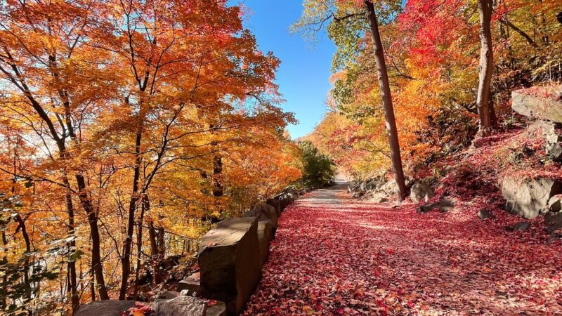 Palisades Interstate Park - Alpine, NJ
