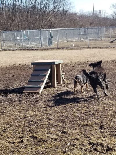 Russell Commons Park - Alton, IL