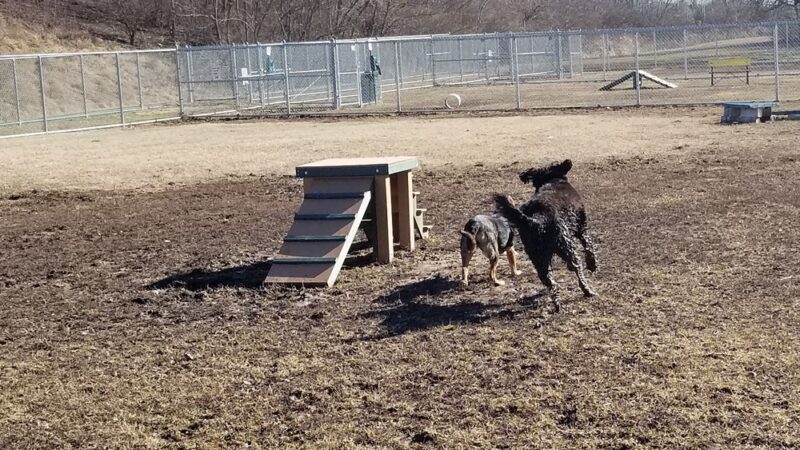 Russell Commons Park - Alton, IL