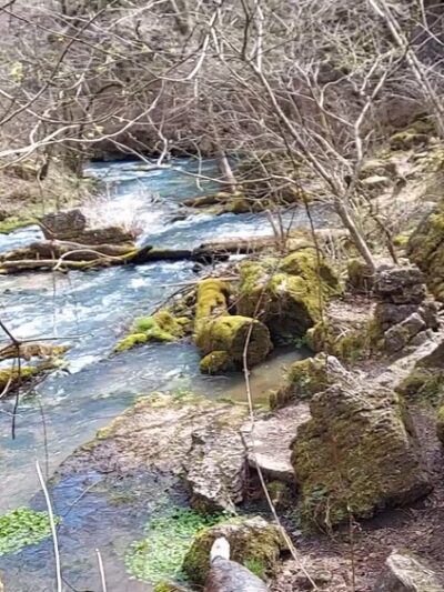 Greer Spring Trailhead - Alton, MO