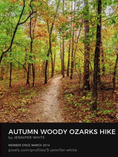 Greer Spring Trailhead - Alton, MO