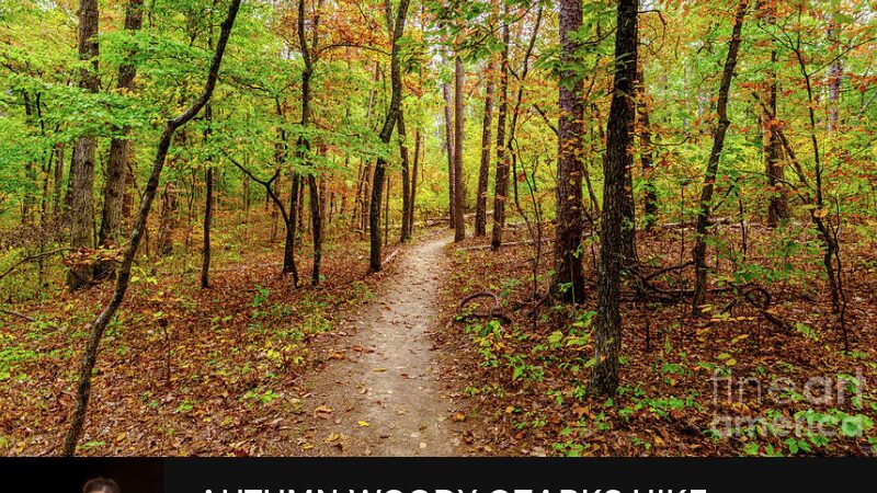 Greer Spring Trailhead - Alton, MO