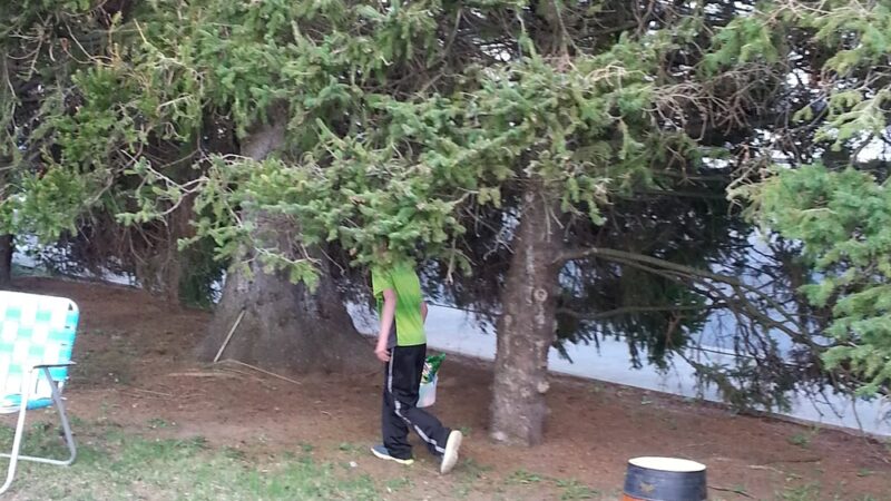 Geesey Park - Altoona, PA