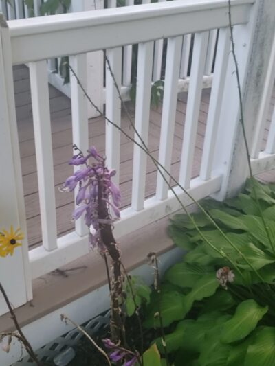 10th Street Park - Altoona, WI