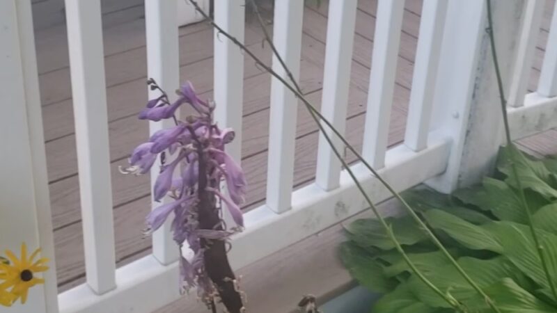 10th Street Park - Altoona, WI