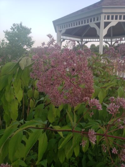 10th Street Park - Altoona, WI