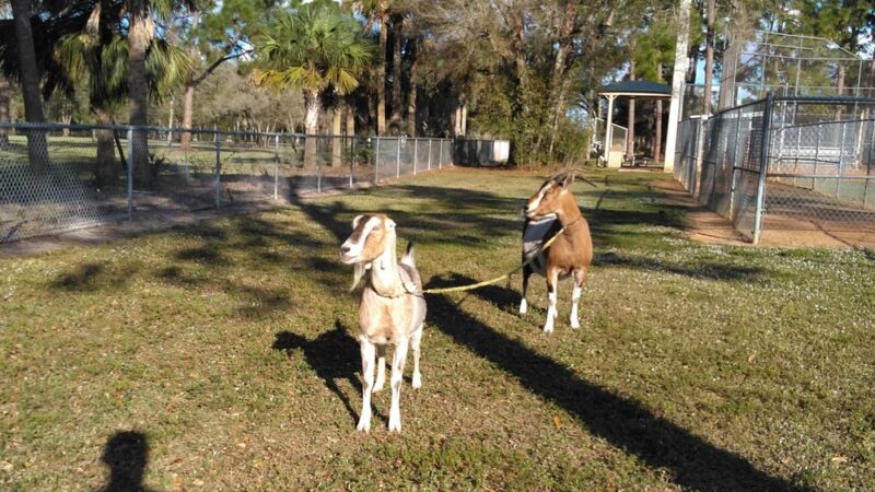 Alva Community Center & Park - Alva, FL