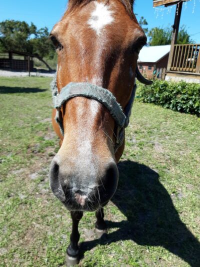 Alva Community Center & Park - Alva, FL