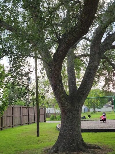 Prairie Dog Park - Alvin, TX