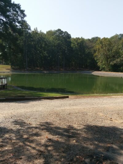 Amelia Family Campground - Amelia Court House, VA