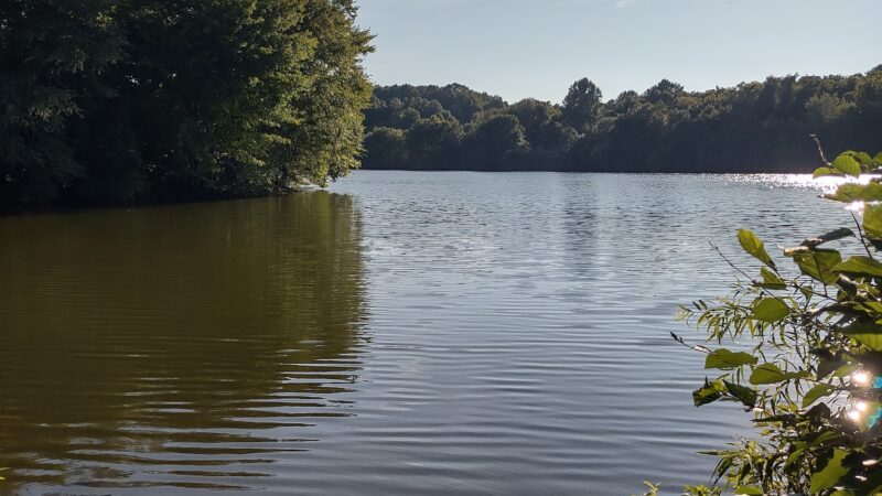 Amelia Wildlife Management Area - Amelia Court House, VA