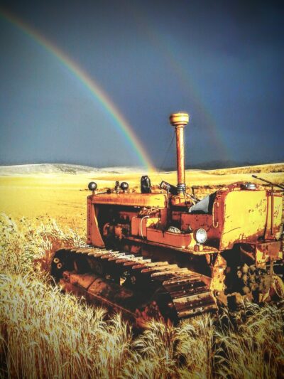 American Falls - American Falls, ID