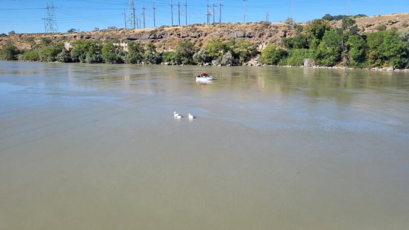 Trenner Park - American Falls, ID
