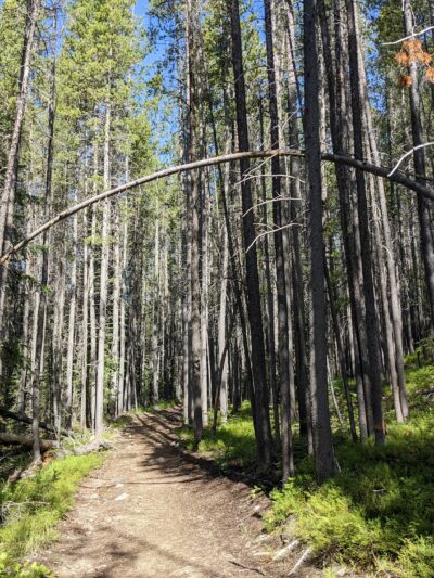 Lost Creek State Park - Anaconda, MT
