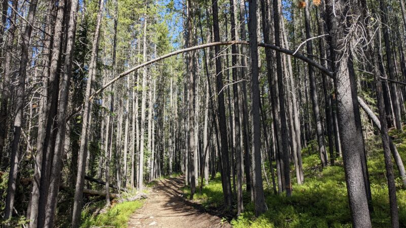 Lost Creek State Park - Anaconda, MT