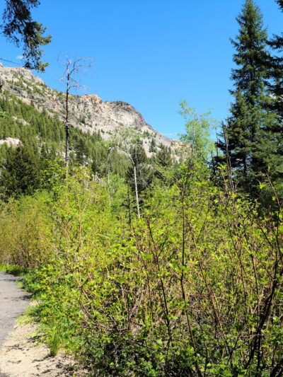 Lost Creek State Park - Anaconda, MT