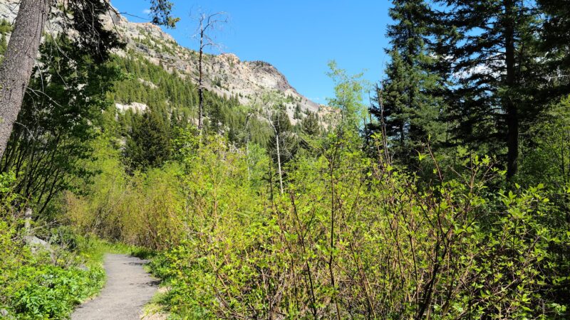 Lost Creek State Park - Anaconda, MT