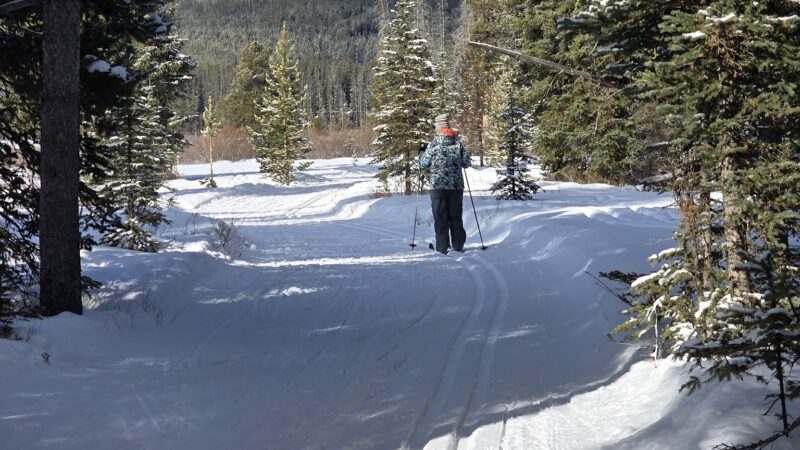 Midway Trailhead - Anaconda, MT