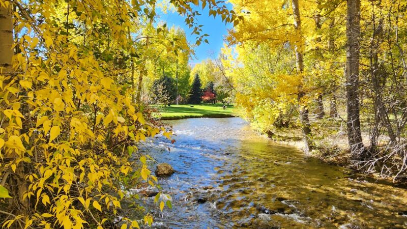 Washoe Park - Anaconda, MT