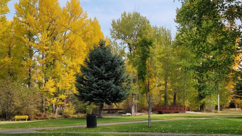 Washoe Park - Anaconda, MT