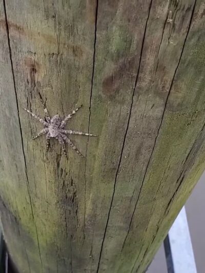 Double Bayou Park - Anahuac, TX