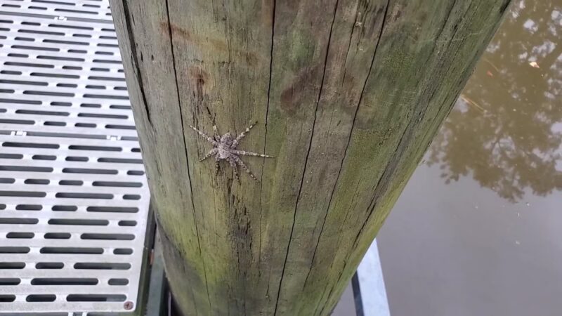 Double Bayou Park - Anahuac, TX