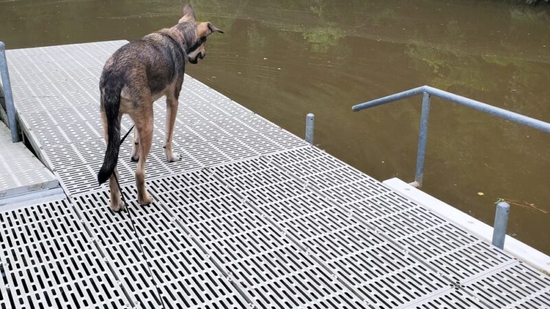 Double Bayou Park - Anahuac, TX