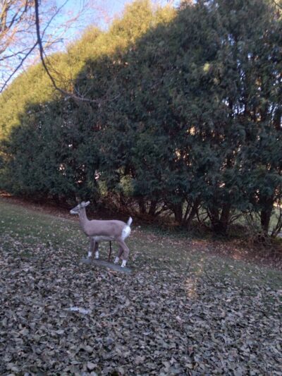 Fountain Park - Anamosa, IA