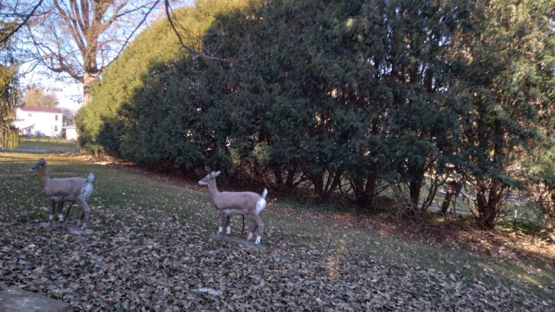 Fountain Park - Anamosa, IA