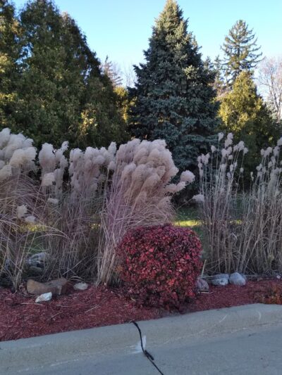 Fountain Park - Anamosa, IA