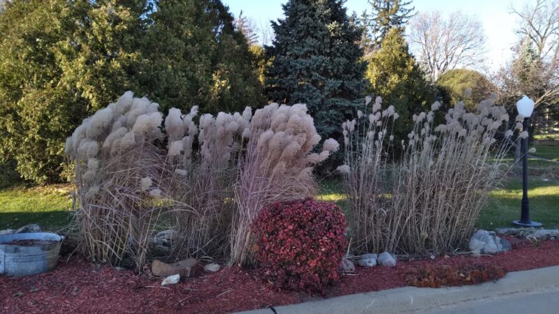 Fountain Park - Anamosa, IA