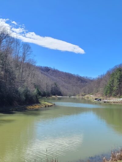 Anawalt Lake Wildlife Management Area - Anawalt, WV