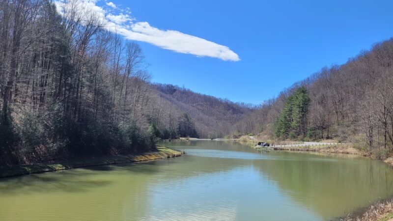 Anawalt Lake Wildlife Management Area - Anawalt, WV